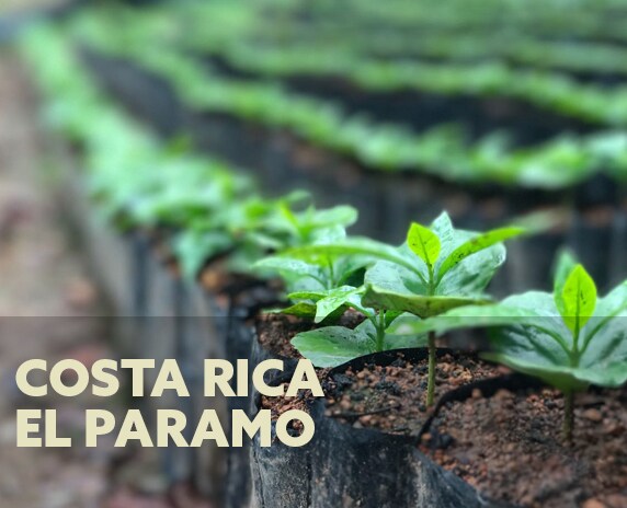 El Paramo